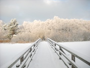 Bild 031 - 5 min bis Strand_180px